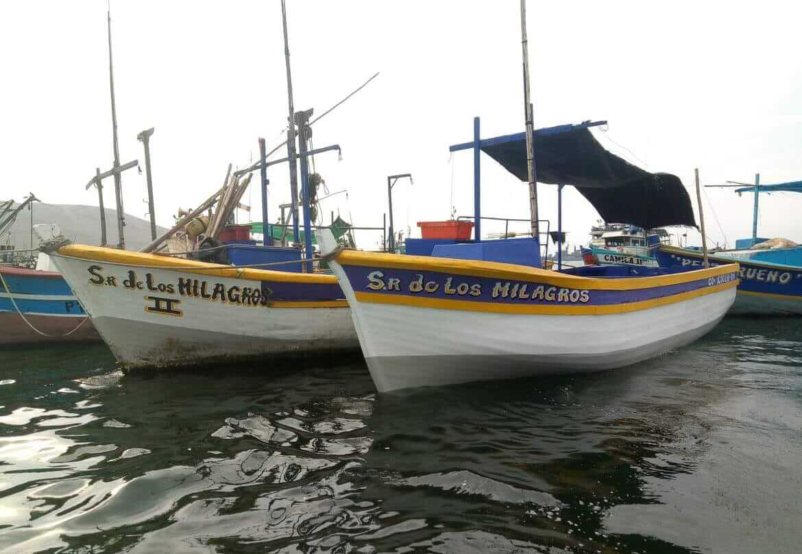 botes